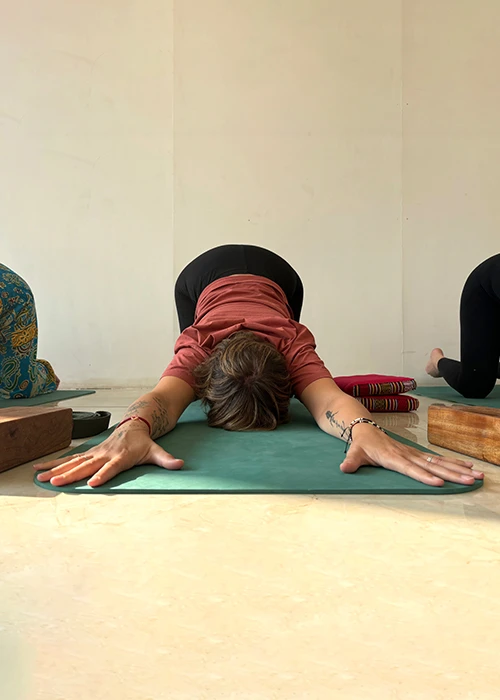 300-Hour Master-Level Yoga Teacher Training